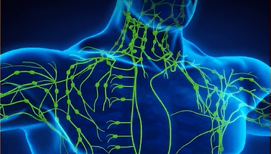 Image for Manual Lymphatic Drainage 60min